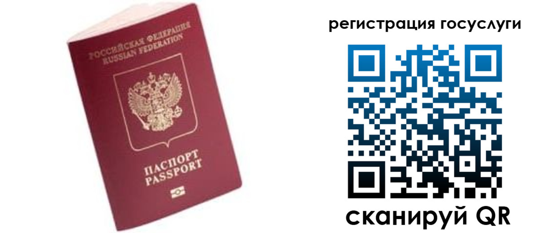 прописка поиск в Почепе